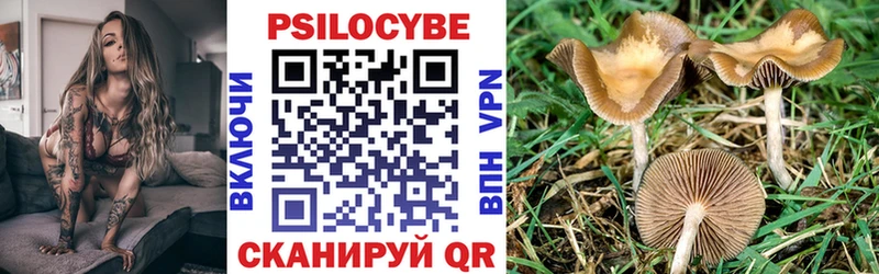 площадка клад  Нахабино  Галлюциногенные грибы MAGIC MUSHROOMS  цены наркотик 
