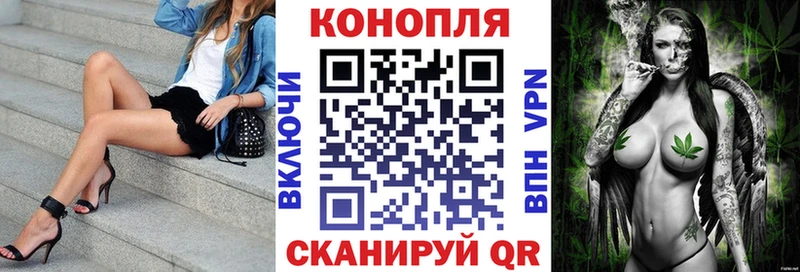 Марихуана план  где можно купить наркотик  Нахабино 